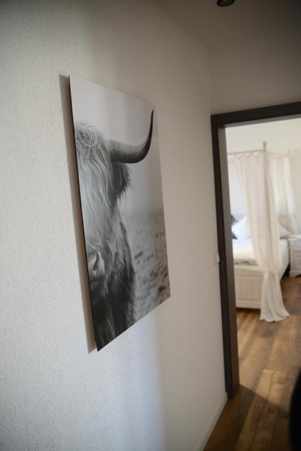Ferienwohnung Die Alte Schule 道恩 外观 照片